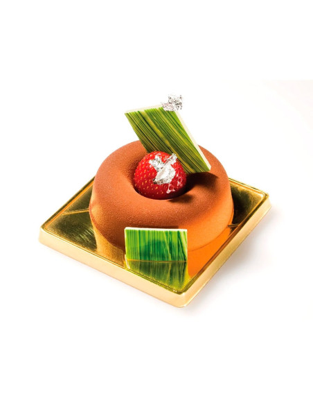 MOLDE FLEX SF012 BIG SAVARIN Inicio