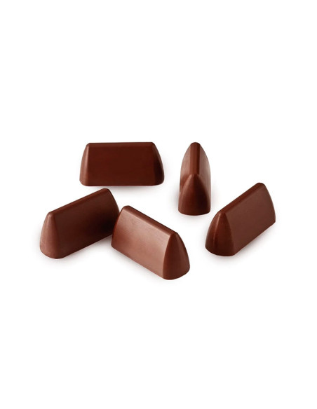 MOLDE DE SILICONA SF125 CHOCO GIANDUIA