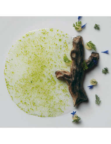 MOLDE GG023 ÁRBOL GOURMAND 300X175