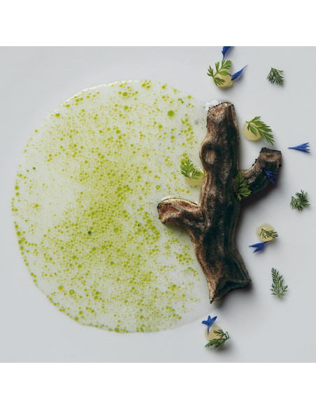 MOLDE GG023 ÁRBOL GOURMAND 300X175