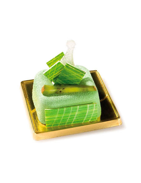 MOLDE DE SILICONA SF082 BIG SAVARIN SQUARE