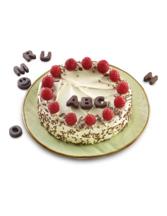 MOLDE SILICONA CHOCO ABC