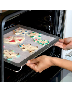 TAPETE FIBERGLASS 5 400x300x1.1 mmInicio 2