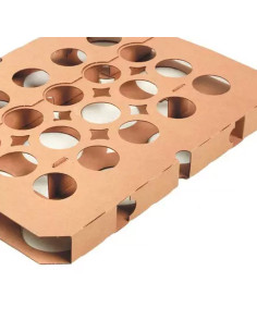 PLACA CARTON CAP.TULI 295x395x35 PK (10u) DOB.CARAInicio 2