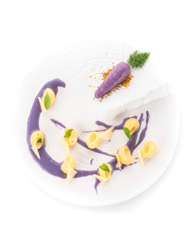 MOLDE NATURAE CAROTA 20Naturae MOLDE NATURAE CAROTA 20Naturae