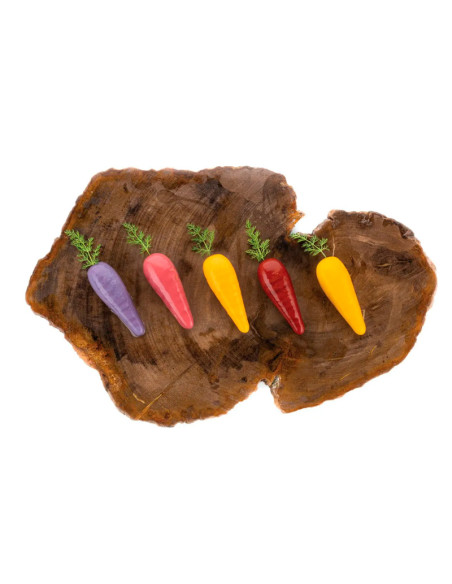 MOLDE NATURAE CAROTA 20Naturae