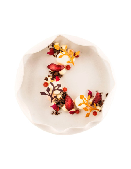 MOLDE NATURAE EDENNaturae