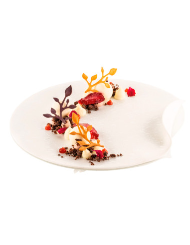 MOLDE NATURAE EDENNaturae