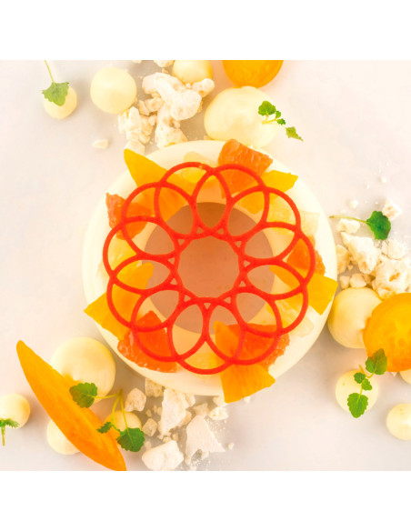 MOLDE NATURAE CORONANaturae