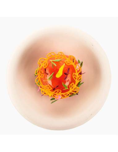 MOLDE NATURAE CORONANaturae MOLDE NATURAE CORONANaturae