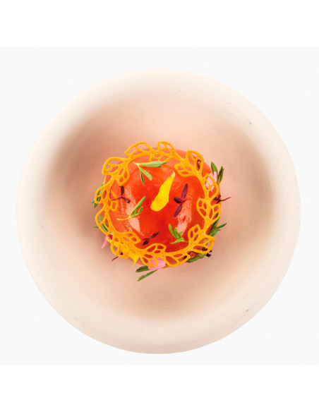 MOLDE NATURAE CORONANaturae
