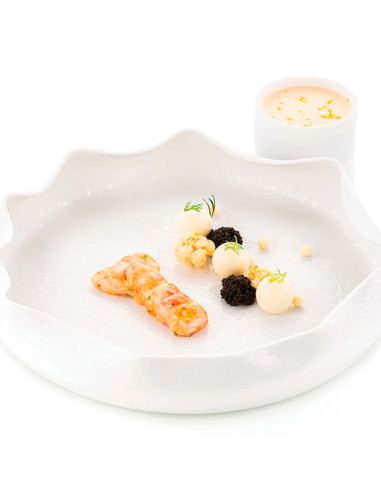 MOLDE NATURAE SCAMPO 20Naturae