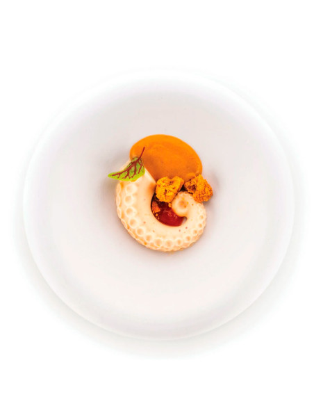 MOLDE NATURAE POLPO 20Naturae