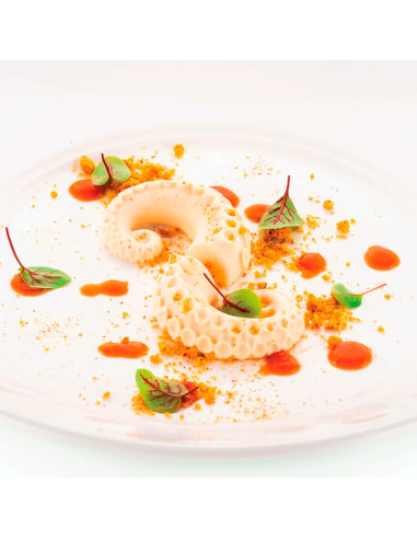 MOLDE NATURAE POLPO 20Naturae MOLDE NATURAE POLPO 20Naturae