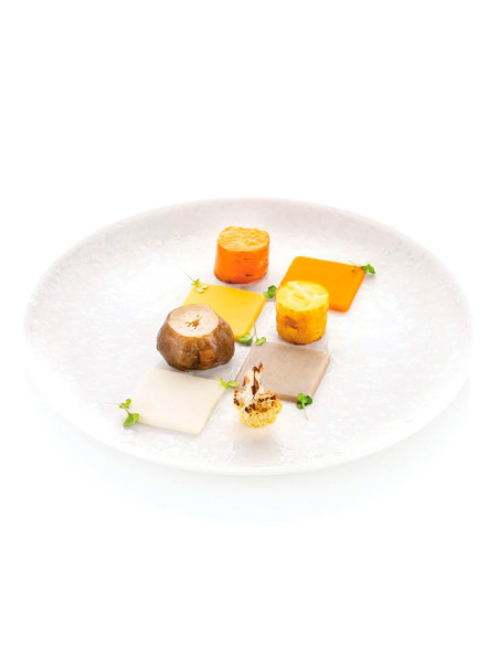 MOLDE NATURAE QUADRATO 4.0Naturae