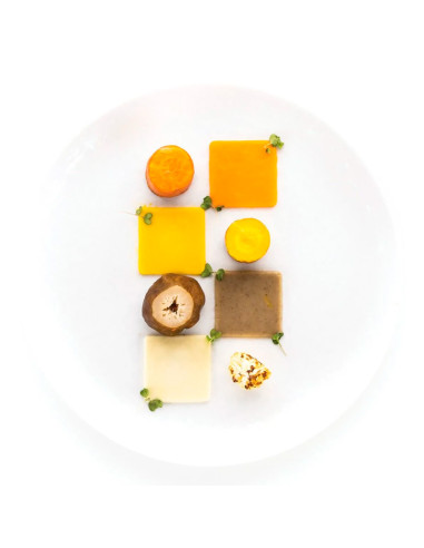 MOLDE NATURAE QUADRATO 4.0Naturae MOLDE NATURAE QUADRATO 4.0Naturae