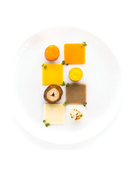 MOLDE NATURAE QUADRATO 4.0Naturae