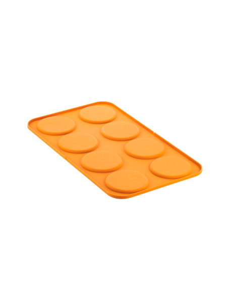 MOLDE NATURAE ERBETTA 43Naturae