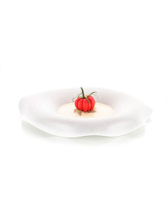 MOLDE NATURAE POMODORO 24Naturae