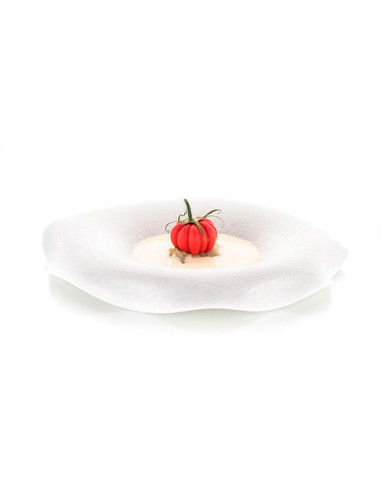 MOLDE NATURAE POMODORO 24Naturae