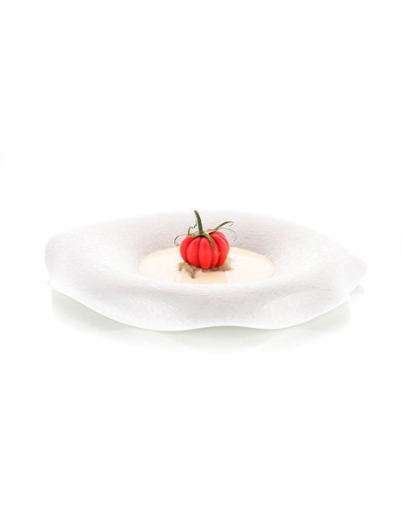 MOLDE NATURAE POMODORO 24Naturae