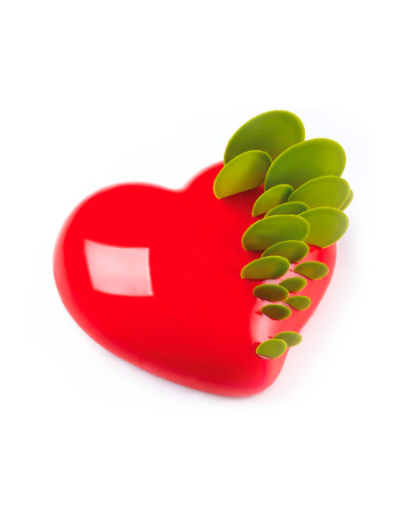 MOLDE PASSION KE016Pavoni Design