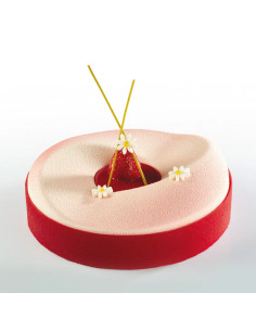 PAVOCAKE PK003 MOLDE INDIVIDUALPavoni Design
