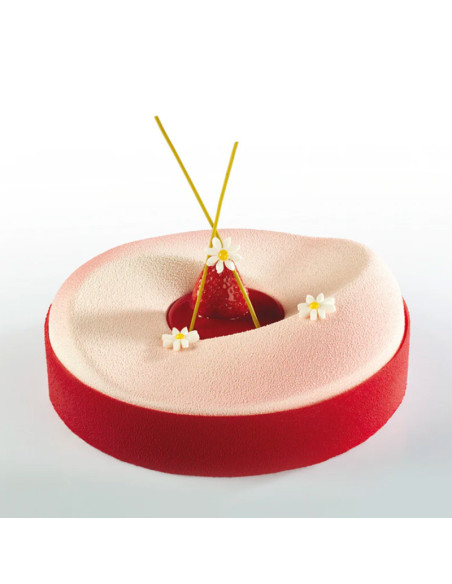 PAVOCAKE PK003 MOLDE INDIVIDUALPavoni Design