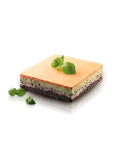 MOLDE TOR 180X180 H40/1 2