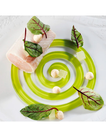 MOLDE GOURMAND ESPIRAL 300x400Gourmand