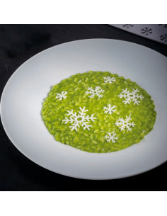 MOLDE GG065 SNOWFLAKE 300X175 2