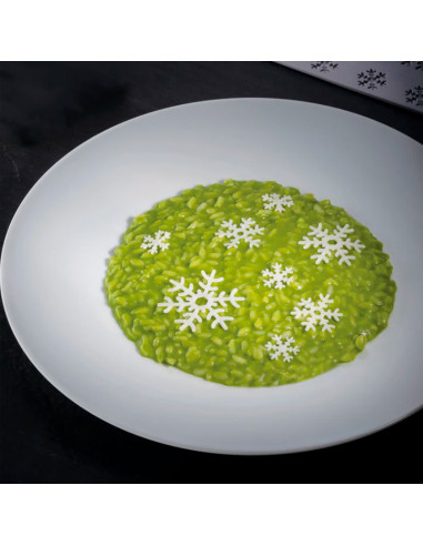 MOLDE GG065 SNOWFLAKE 300X175