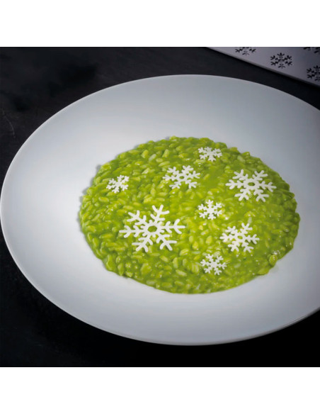 MOLDE GG065 SNOWFLAKE 300X175