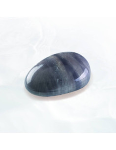 MOLDE ZEN 300 124x89xh45mm