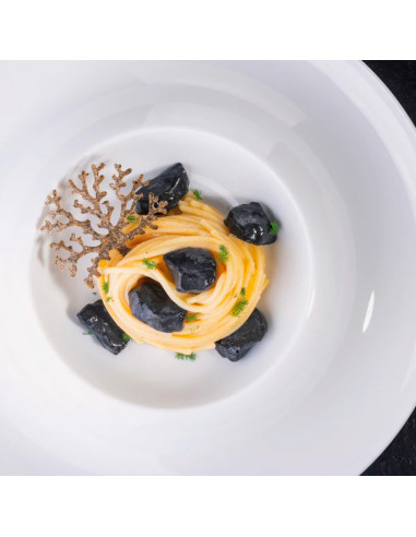 MOLDE GG022 GRAVA GOURMAND 300X175Gourmand