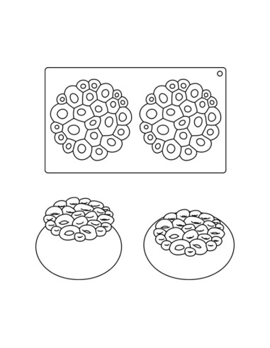 MOLDE TOP10 MINI CORALCake Decor MOLDE TOP10 MINI CORALCake Decor