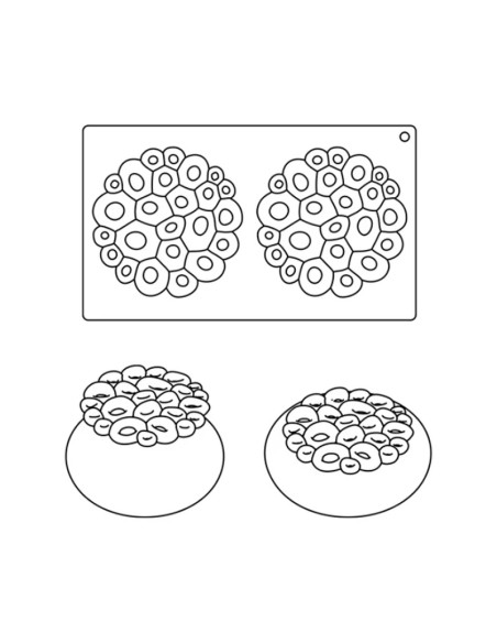 MOLDE TOP10 MINI CORALCake Decor