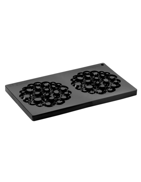 MOLDE TOP10 MINI CORALCake Decor