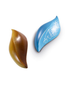 MOLDE MA1005 WAVES  16 p. POLICARBONATO