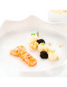 MOLDE NATURAE SCAMPO 20