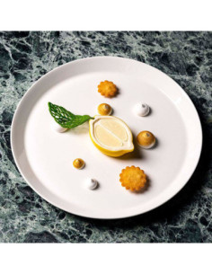 MOLDE GG070 HALF LEMON By Davide Oldani