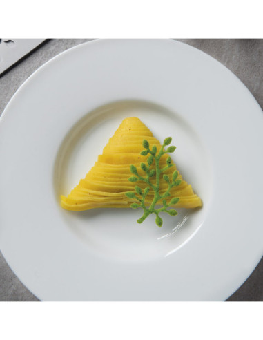 MOLDE GG030 BONSAI GOURMAND 300X175