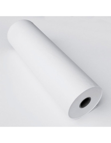 BOBINA PAPEL ROLLERBISCUIT 40cm x 200 m
