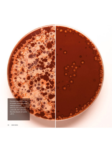 LIBRO CHOCOLATE, PASIÓN Y CIENCIA, DE ENRIC ROVIRA-3