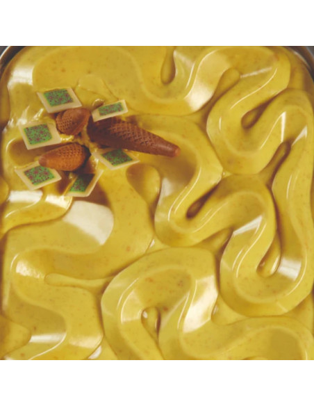 MOLDE TOP104 DUNE HELADERÍA