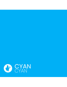 CARTUCHO CYAN CLI581C TINTA ALIMEN. 9ªGEN.Impresión Alimentaria 2