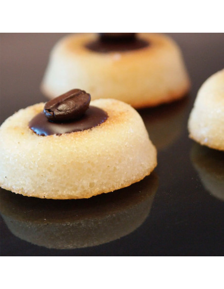 MOLDE FLEX FR010 SAVARINRedondos