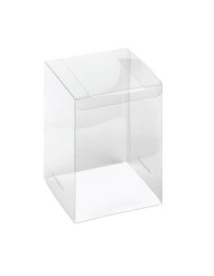 ESTUCHE PET 150x150mm SIN FONDO