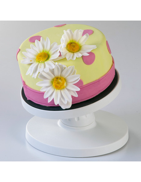 PLATO GIRATOR.INCLINABLE 32x 9.5 cm alt. PLASTICOInicio