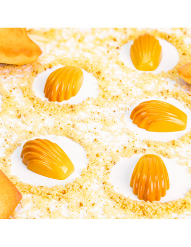 MOLDE 21MA1071 MADELEINE 43x24x14,5 mm 9,8gr MOLDE 21MA1071 MADELEINE 43x24x14,5 mm 9,8gr